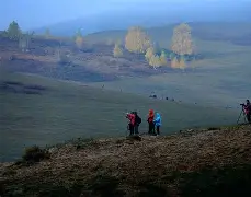 包含关键处理愈发沉稳，胜负逐渐明朗的词条